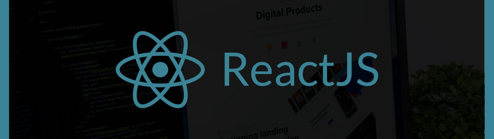 What makes ReactJS highly popular for Web application development?